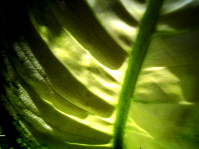 DSCN5046.JPG