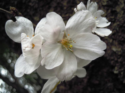 DSCN5228.JPG