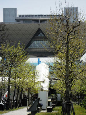 DSCN6126.JPG