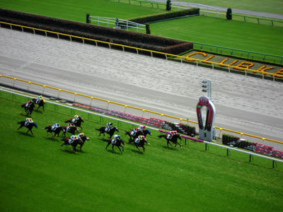 DSCN6964.JPG