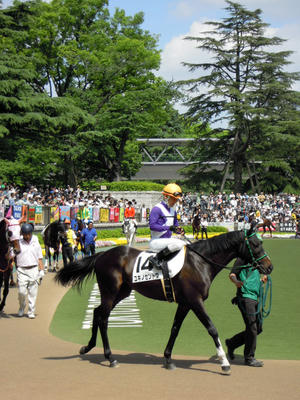 DSCN7043.JPG