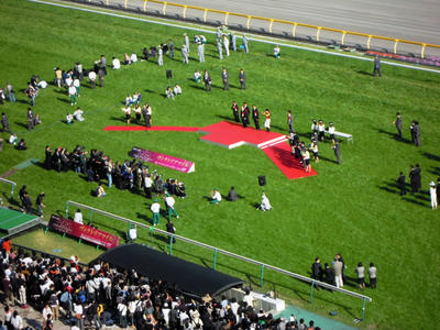 DSCN7208.JPG