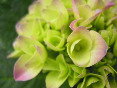DSCN7343.JPG