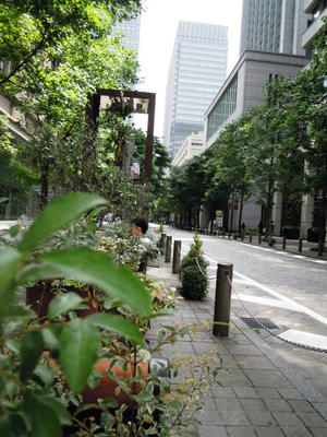 DSCN7791.JPG