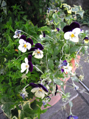 DSCN7790.JPG
