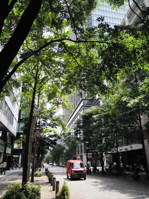 DSCN7804.JPG