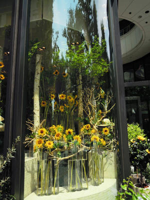 DSCN7815.JPG