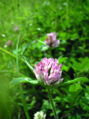 DSCN7695.JPG