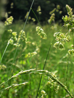 DSCN7709.JPG