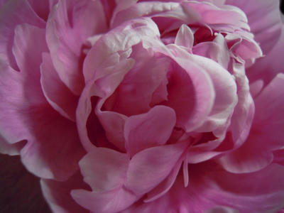 DSCN7751.JPG