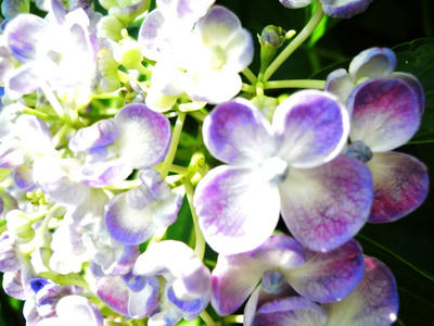 DSCN7838.JPG