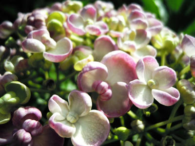 DSCN7851.JPG