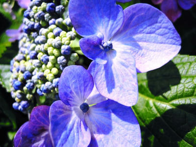 DSCN7872.JPG