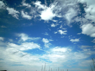 DSCN8013.JPG