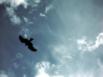 DSCN8067.JPG