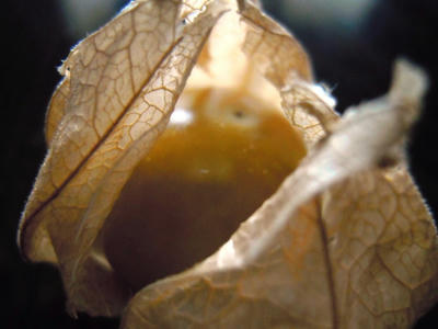a94b461b.JPG