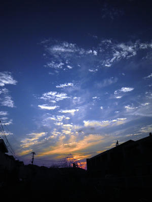 a05c7cb1.JPG