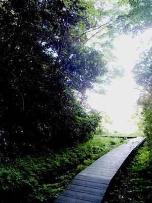 DSCN4250-2.jpg