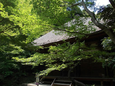 DSCN4475.JPG