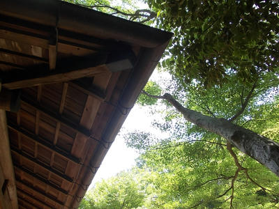 DSCN4488.JPG