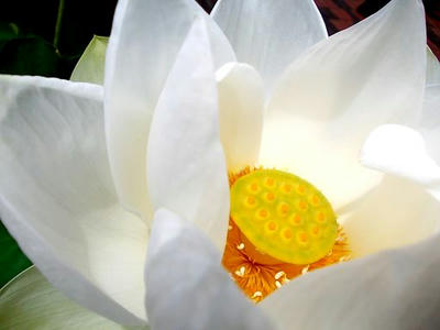 DSCN4814-3.jpg