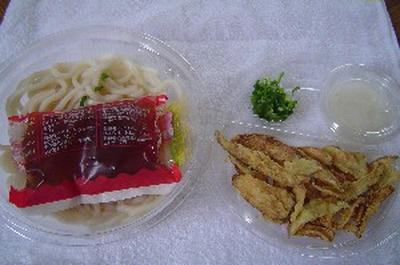 ミニごぼう天おろしうどん