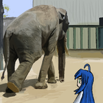 003.png