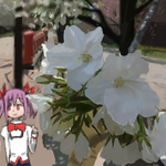 018.png