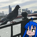 94.png