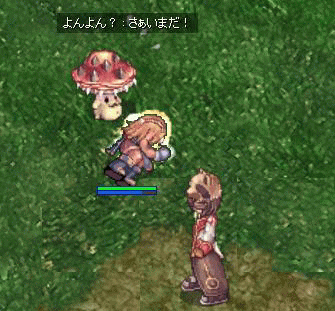 t11.gif