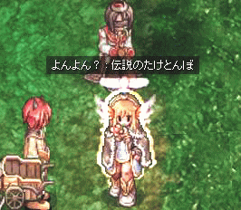 syo12.gif
