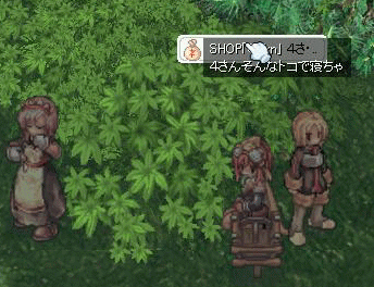 fei4.gif