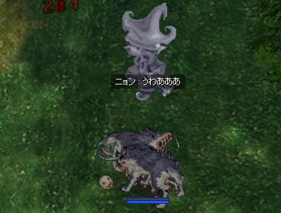 waka3.jpg