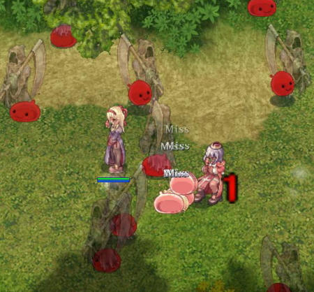 waka4.jpg