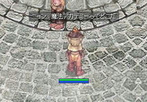 sage16.jpg