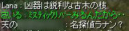 kasasu4.jpg