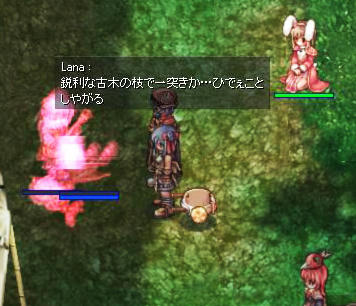 kasasu14.jpg