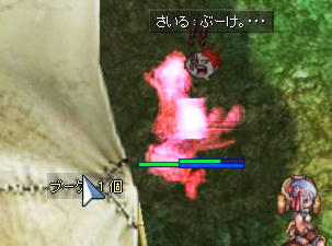kasasu20.jpg