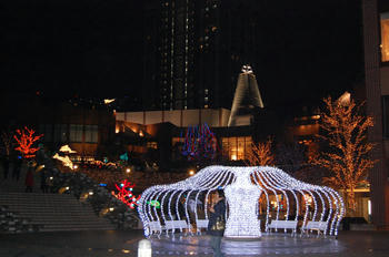 DSC_0028_R.jpg