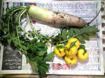 大根と柚子