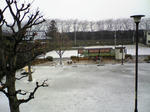雪化粧