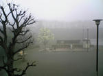 朝霧