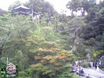椿山荘の庭