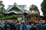 帝釈天境内に神輿が！