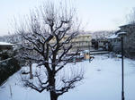 裏の公園にも久しぶりに雪が積った～！