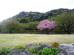 山寺は山の中～～～！！！