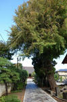 121019sichou1.jpg