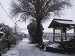 真勝院の雪景色