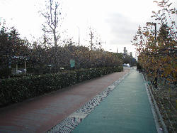 P1130549.jpg