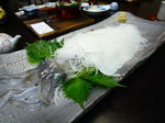 P1000078.JPG